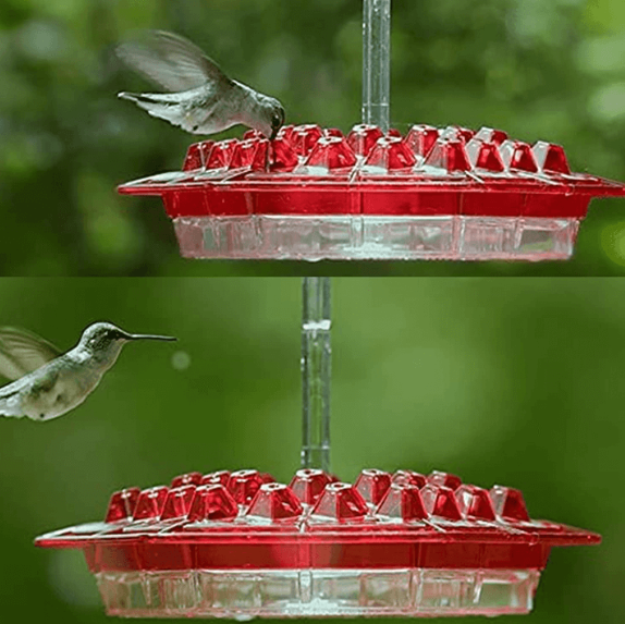 FlutterJoy - Hummingbird Feeder