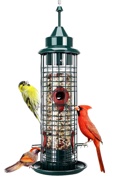 FeatherGuard - Squirrel-Proof Bird Feeder