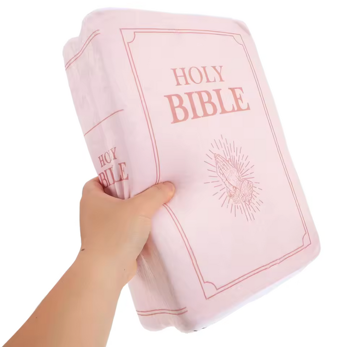 Hug-A-Verse Plush Bible Pillow