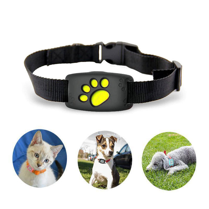 PawTrack Pro - GPS Pet Tracker