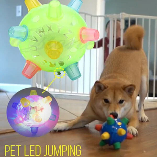 WigglePup - Interactive Jumping Dog Ball