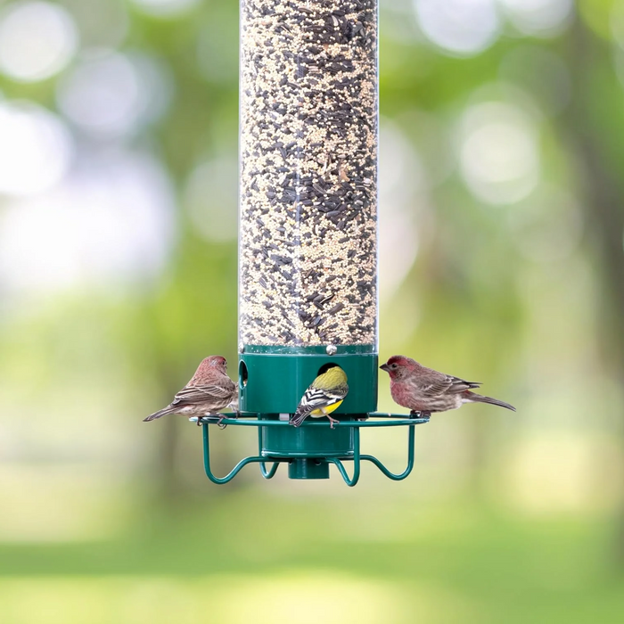 GuardianFeeder - Squirrel Proof Bird Feeder